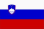 slovenia flag